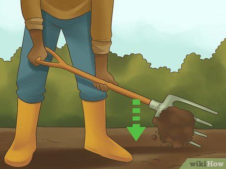 In winter, soil tends to become compacted, so the first thing you want to do is loosen it back up by tilling or turning it. How to Prepare a Garden Plot: 13 Steps (with Pictures ...
