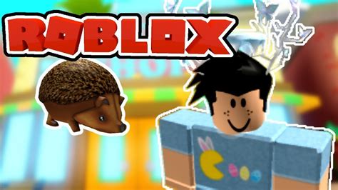 Valid codes will earn you a virtual good that will be added to your roblox account. Roblox ~ Club Roblox ~ New Hedgehog Update - YouTube