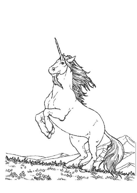 Coloriage animaux, coloriage princesse, coloriage dora, coloriage pokemon, coloriage dragon, coloriage barbie, et encore beaucoup d'autres coloriages à imprimer. Coloriage licorne 13 sur Hugolescargot.com