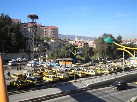 It is among the largest cities in algeria and is the capital and largest city. Tizi-Ouzou : l'union nationale des transporteurs appelle à ...