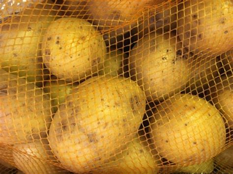 Wann pflanzt man kartoffeln am besten im garten? Kartoffeln: Wann ist Kartoffelzeit? - weltzeituhren • info