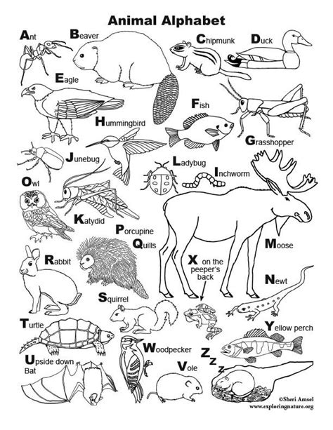 This is great for working on listening to the sounds letters make and learning new vocabulary. Learn about animals through simple, fun activities on ...