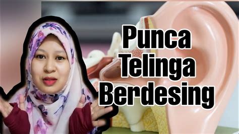 Penjelasan primbon telinga berdenging terus menerus yang kanan dan kiri tandanya apa menurut waktu, islam dan firasat panas, sakit, berdengung ( kuping nging ) katorekan ceuli kenca. Punca Telinga Berdesing atau Tinnitus Berlaku - YouTube