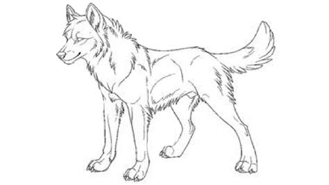 Maybe you would like to learn more about one of these? Wolf Pictures Drawing at GetDrawings | Free download
