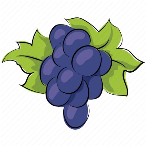 Bunch of grapes, fruit, gather grapes, grapes, wine grapes icon
