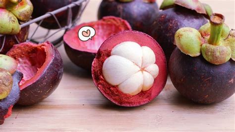 Ekstrak kulit buah manggis (garcinia mangostana l.) mengandung. Cair Obat Tradisional Kulit Buah Manggis : Khasiat Dan ...