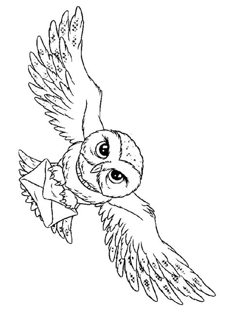 Good free of charge coloring pages harry potter popular the gorgeous element pertaining to coloring is it is harry potter #harrypotter #ilustration #harrypottertattoo #anaarguelles #snitch harry potter #harrypotter #ilustration #harrypottertattoo. Kids-n-fun | Kleurplaat Harry Potter Hedwig de Uil