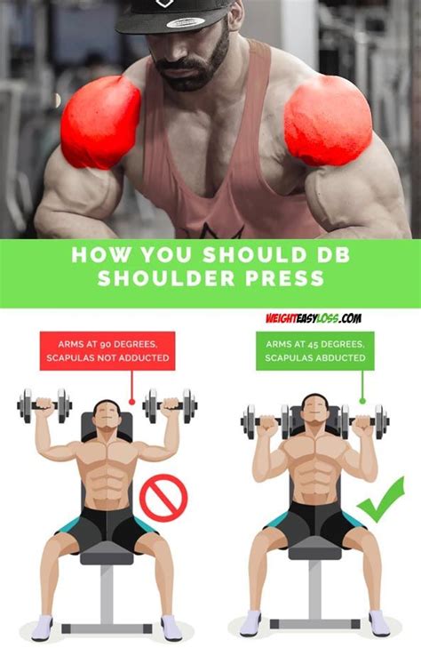 The seated dumbbell shoulder press exercise develops the entire shoulder muscle group. Seated Dumbbell Press | Arm workout, Shoulder workout ...