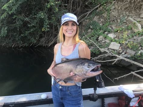 Jeff goodwin of jeff goodwin's fishing said, captain jeff brady fished the sacramento river on saturday, and he said there are quite a few salmon in the system. Sacramento Salmon Fishing Red Hot | Bob Sparre Fishing ...