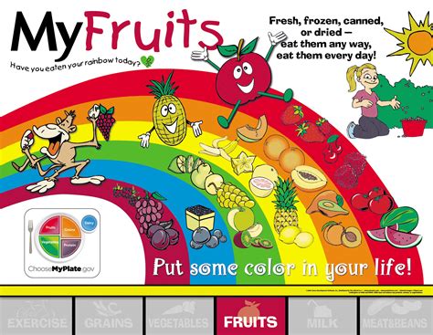 The amount of fruit you need to eat depends on age, sex, and level. My Fruits - Choose My Plate 237022 - $15.99 : The School ...