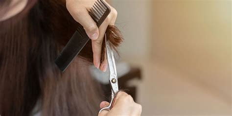 3 Characteristics of Great Hair Salon Stylists - Dover Garden