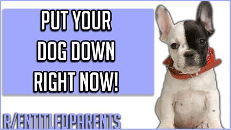 See if reddit is down or it's just you. r/EntitledParents - "PUT YOUR DOG DOWN NOW!" | REDDIT TOP ...