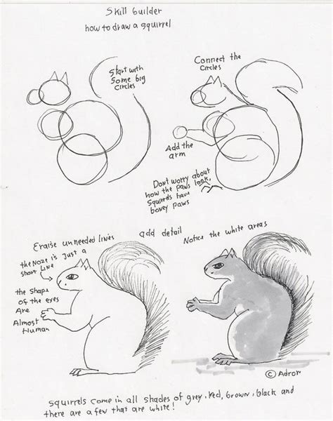 Pdf drive investigated dozens of problems and listed the biggest global issues facing the world today. Learn To Master The Sweet And Playful Squirrel Art - Bored Art