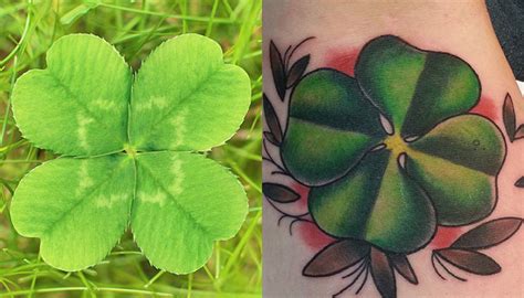 Also regarding clover or shamrock tatoos: Flower tattoos Flower tattoos designs and meanings