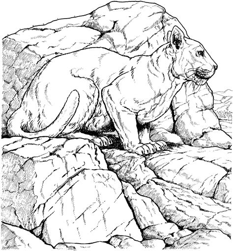 When you finish the black panther coloring pages, you can frame and hang the final product. Florida Panthers Coloring Page - Coloring Home