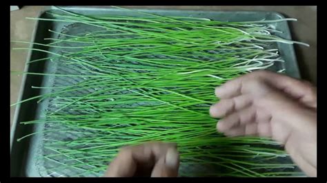 Click the onion skin button at the bottom of the timeline, shown below. How To Make Wild Onion Garlic Powder Spice Herb, Edible ...