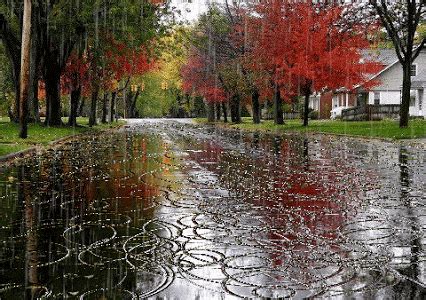 Check out makeagif's huge gallery of soothing and relaxing nature gifs. Autumn Color Rain... | Nature gif, Nature, Autumn rain