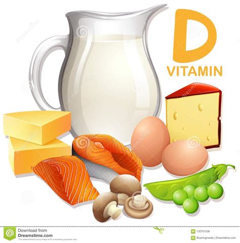 However, due to long cooking times at high temperatures, the b vitamins in roasted meat may decline by as much as 40%. Ein Satz Lebensmittel Mit Vitamin D Vektor Abbildung ...