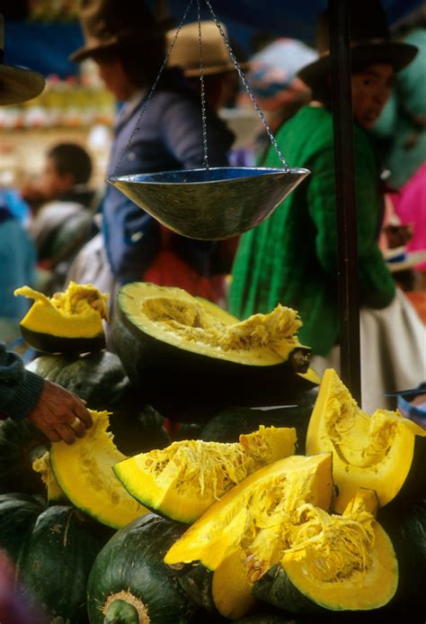 El locro de zapallo con choclo es uno de los platos más preparados en los restaurantes del campo; zapallo macre, preparado en una crema es una delicia ...