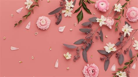 Pink HD Desktop Wallpapers - Wallpaper Cave