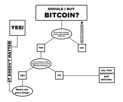 What are you actually buying? Should I Buy Bitcoin? (A flowchart) : Bitcoin