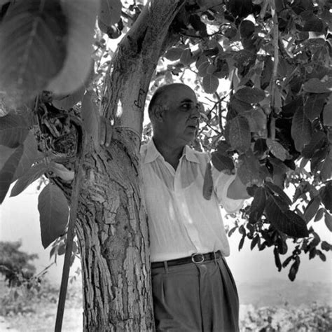 He was one of the most important greek poets of the 20th century, and a nobel laureate. Γιώργος Σεφέρης: Με τον τρόπο του Γ.Σ. | Η τελευταία μέρα ...