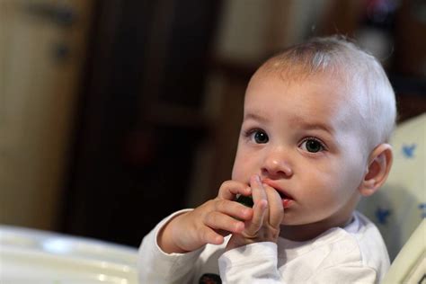 Grundsätzlich können eltern fisch bereits ab der beikost, also ab dem fünften monat, in die baby ernährung einbauen. Ab wann dürfen Babys Aubergine essen? | Babyled Weaning