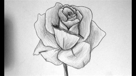 Risultati immagini per fiori disegni a matita fiori disegnati a. 1001 + Idee per Come disegnare una rosa con tutorial (con ...