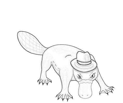 Printable perry the platypus coloring pages. Platypus Coloring Pages to download and print for free