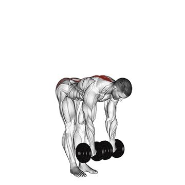 Baue rückenmuskeln mit deinem eigengewicht auf. ᐅ Oberkörper trainieren zuhause: Top 5 Übungen (Bilder ...