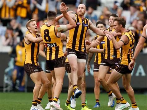 This is hawthorn football club by christine isaac on vimeo, the home for high quality videos and the people who love them. Hawthorn Hawks AFL 2020 Aussie Rules Football | Hawthorn ...