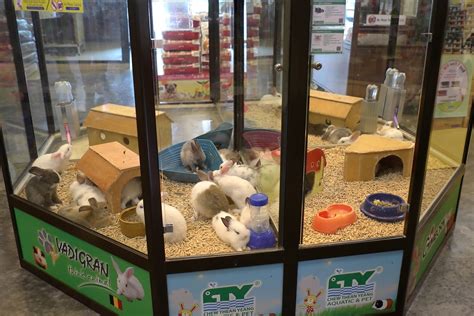 Dog 'r' us pet shop. JE TunNel: One of Top 10 largest Pet Shops in the World ...