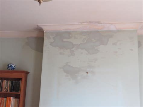 Check spelling or type a new query. Why do i have damp patches on my walls? | Coventry Roofers