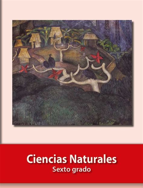 Cuadro sobre las actividades de. Ciencias Naturales Libro de Primaria Grado 6° .: Comisión ...