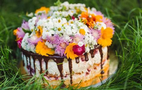 Maybe you would like to learn more about one of these? Nackter Kuchen Verziert Mit Blumen Auf Dem Gras Stockbild ...