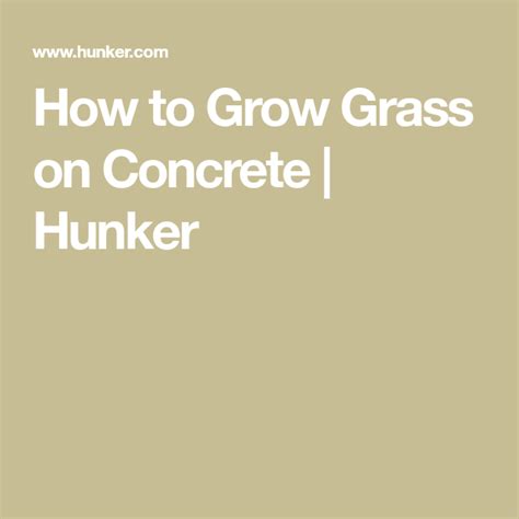Installing artificial grass on concrete is not as difficult as it sounds. How to Grow Grass on Concrete (With images) | Growing ...