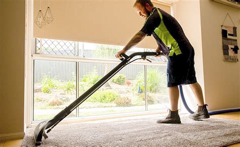 We specialize in carpet, rug and upholstery cleaning! Carpet Cleaning | Wallaby Pest Control & Carpet Cleaning