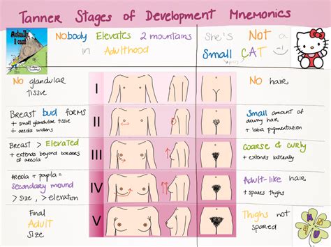 How to use sexual energy transmutation to manifest your desires. My Notes for USMLE — Tanner stages of development MNEMONICS