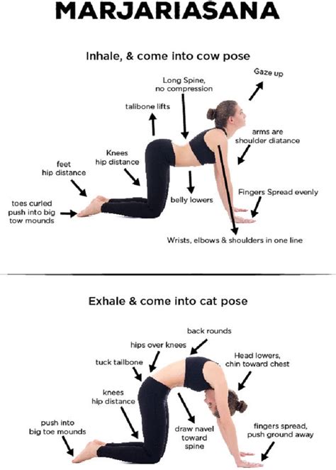 Cat and cow can be performed together as a vinyasa flow. 10 Yoga Poses For Neck Pain and Spondylosis - That Changed ...