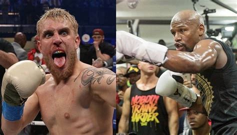 Jake paul has mocked floyd mayweather's punching power by claiming the legendary boxer 'doesn't hit hard.' the pair came to blows last month after paul stole mayweather's hat moments after his. Floyd Mayweather will fight Jake Paul 'if he can get past ...