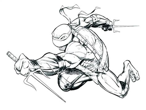 Teenage Mutant Ninja Turtles Drawing at GetDrawings | Free ...