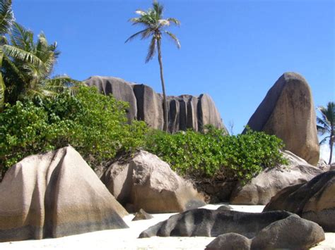 Regenwälder, strände und den perfekten urlaub versprechen die seychellen! Home www.urlaub-seychellen.com