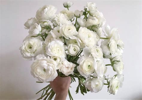 Artificial flowers provide you with the ability to show off your artistic side by creating decorative pieces or bringing character to household decor that you are showing off. Wholesale White Ranunculus Flower in Bulk for Wedding ...