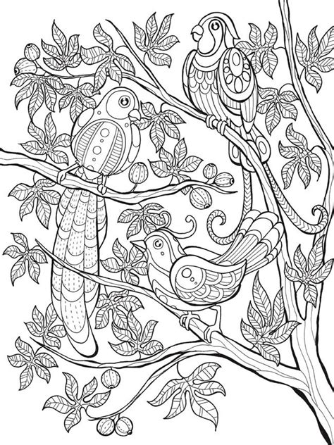 Page 1 of 1 start overpage 1 of 1. Paradise Coloring Pages at GetDrawings | Free download