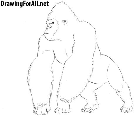 King kong and the empire state building at the tompkins square halloween dog parade today. How to Draw King Kong | Drawingforall.net