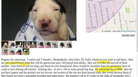 Petition · Craigslist: Stop Pet Sales on YOUR Site ...