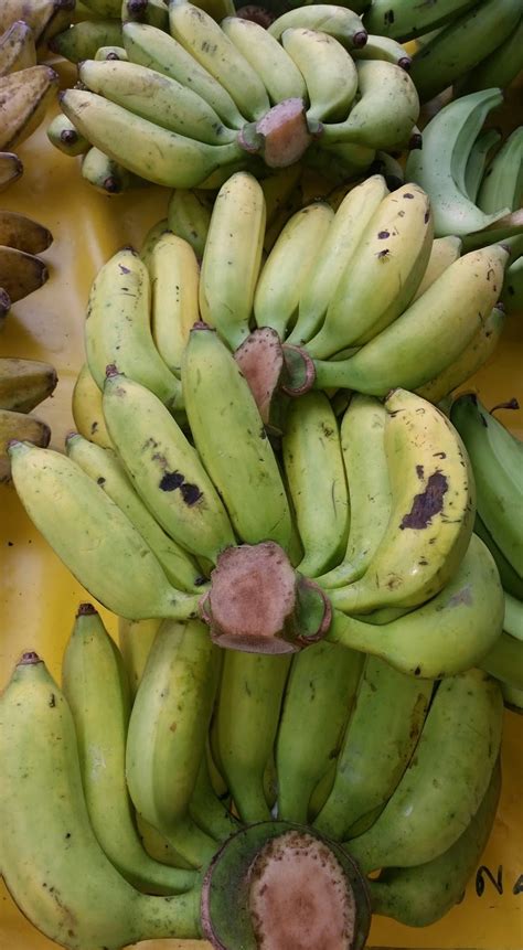 Kahwin pokok pisang cara kampung. Warisan Petani: Tanaman Pisang 7 : Pokok Pisang Lilin.