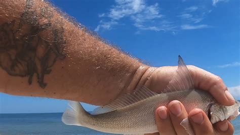 Surf fishing florida's east coast: Mini Double Florida East Coast Surf Fishing - YouTube