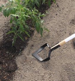 What are the tools used for gardening? Garden-hoes-home-page (With images) | Garden tools, Garden ...