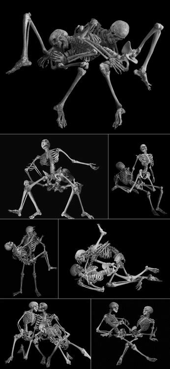 Collection by jayson parsons • last updated 4 weeks ago. Skeletal sex